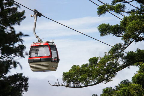 Sydney Taronga Zoo General Entry Ticket And Wild Australia Experience - Kawana Tourism 2