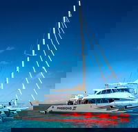 Passions of Paradise Great Barrier Reef Snorkel and Dive Cruise from Cairns by Luxury Catamaran - Kawana Tourism