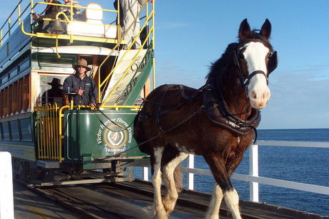 Full-Day Tour In South Australia Highlights - Kawana Tourism 1