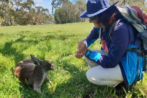 Mount Lofty Hike And Cleland Wildlife Park Day Trip From Adelaide - Kawana Tourism 1