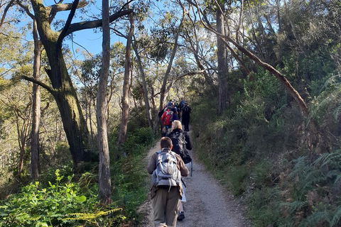 Mount Lofty Hike And Cleland Wildlife Park Day Trip From Adelaide - Kawana Tourism 3