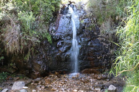 Mount Lofty Hike And Cleland Wildlife Park Day Trip From Adelaide - Kawana Tourism 4