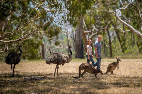 Mount Lofty Hike And Cleland Wildlife Park Day Trip From Adelaide - Kawana Tourism 5