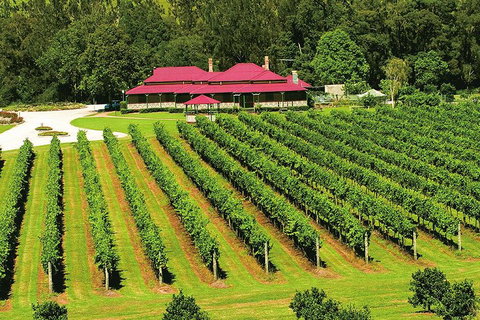 O'Reilly's & Lamington National Park From Brisbane - Kawana Tourism 2