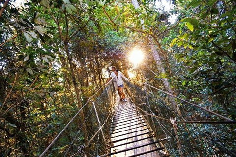 O'Reilly's & Lamington National Park From Brisbane - Kawana Tourism 5