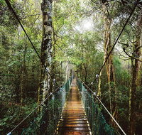O'Reilly's  Lamington National Park from Gold Coast - Kawana Tourism
