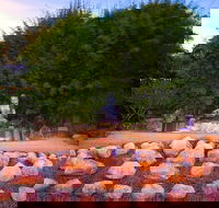 Byron Bay and the Crystal Castle Day Tour from Gold Coast - Kawana Tourism