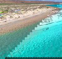 Ningaloo in a Day - Full Day Hike and Snorkel Tour with Lunch - Kawana Tourism
