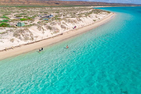Ningaloo In A Day - Full Day Hike And Snorkel Tour With Lunch - Kawana Tourism 0
