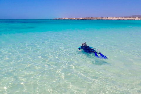 Ningaloo In A Day - Full Day Hike And Snorkel Tour With Lunch - Kawana Tourism 4