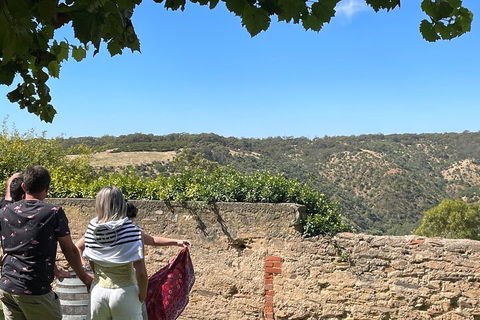Private Mclaren Vale Wine Tour - Kawana Tourism 2