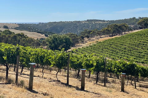 Private Mclaren Vale Wine Tour - Kawana Tourism 3