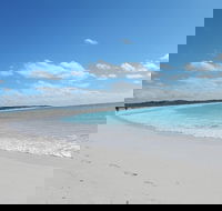 Shipwreck Special Nature Tour/Half Day Tour - Kawana Tourism