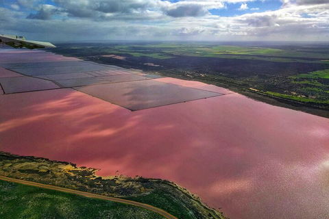 Kalbarri, Pink Lake And Abrolhos Islands Nature Tour - Kawana Tourism 1