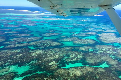 Kalbarri, Pink Lake And Abrolhos Islands Nature Tour - Kawana Tourism 5