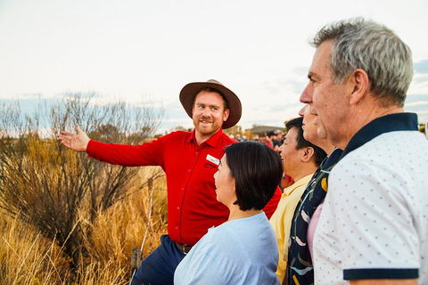 Uluru (Ayers Rock) Sunset With Outback Barbecue Dinner And Star Tour - Kawana Tourism 3