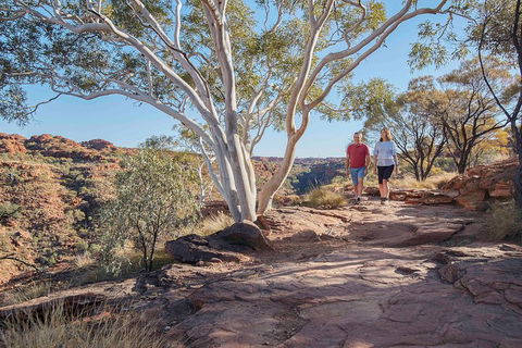 3-Day Tour From Uluru (Ayers Rock) To Alice Springs Via Kings Canyon - Kawana Tourism 1