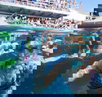 Great Barrier Reef Day Cruise from Cairns Including Snorkeling and Marine Biologist Presentation - Kawana Tourism