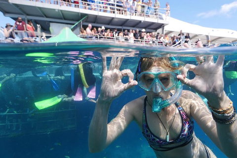 Great Barrier Reef Day Cruise From Cairns Including Snorkeling And Marine Biologist Presentation - Kawana Tourism 0