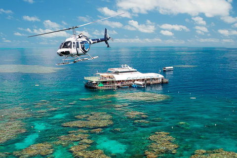 Great Barrier Reef Day Cruise From Cairns Including Snorkeling And Marine Biologist Presentation - Kawana Tourism 5