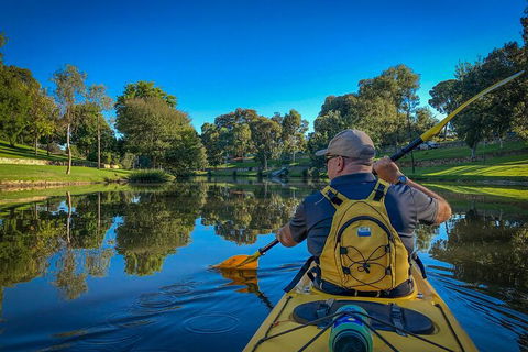 Adelaide City Kayak Tour - Kawana Tourism 5