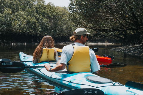Kayak Tour In Adelaide Dolphin Sanctuary - Kawana Tourism 2