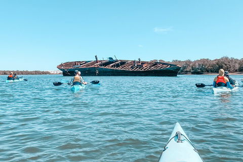 Kayak Tour In Adelaide Dolphin Sanctuary - Kawana Tourism 3