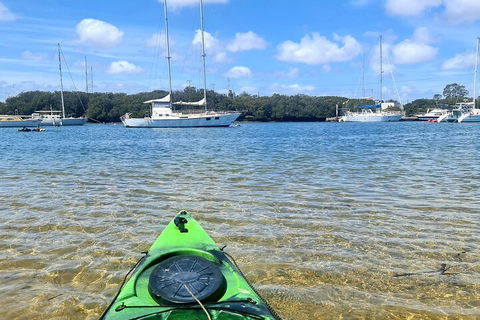 Kayak Tour In Adelaide Dolphin Sanctuary - Kawana Tourism 4