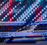 Evening Rainforest  Glow Worm Experience - Kawana Tourism