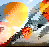 Natural Bridge  Springbrook Waterfalls Tour  Hot Air Balloon with Breakfast - Kawana Tourism