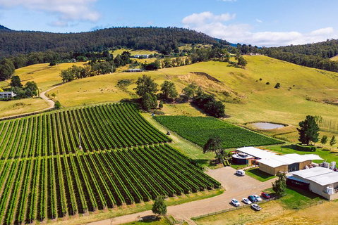 Tasmanian Wine Tour - Kawana Tourism 4