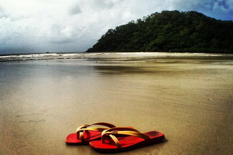 Daintree And Cape Tribulation Full Day Guided Tour - Kawana Tourism 4