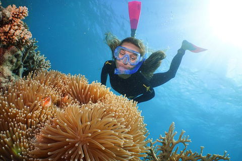 Quicksilver Outer Great Barrier Reef Snorkel Cruise From Port Douglas - Kawana Tourism 2