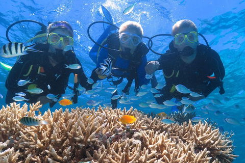 Quicksilver Outer Great Barrier Reef Snorkel Cruise From Port Douglas - Kawana Tourism 4