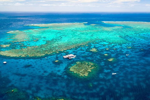 Quicksilver Outer Great Barrier Reef Snorkel Cruise From Port Douglas - Kawana Tourism 5