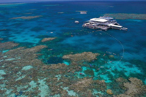 Ultimate 3-Day Great Barrier Reef Cruise Pass - Kawana Tourism 3