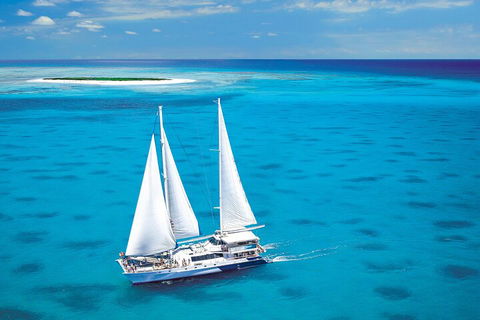 Ultimate 3-Day Great Barrier Reef Cruise Pass - Kawana Tourism 5