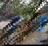 Fully guided E-Mountain Bike Tour on the beautiful Mornington Peninsula. - Kawana Tourism