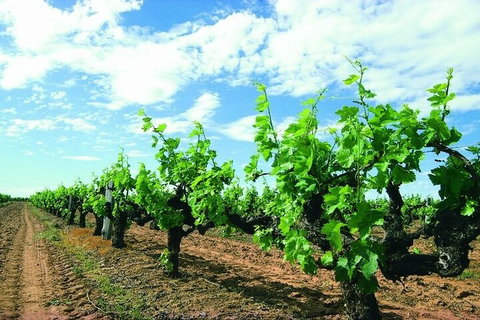 7 Days Perth All-Inclusive Touring Grand Package - Kawana Tourism 2