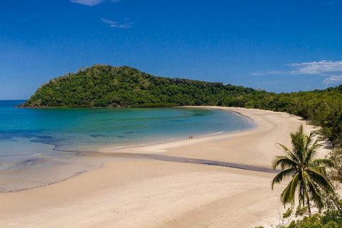 Daintree And Cape Tribulation Tour From Cairns - Kawana Tourism 1