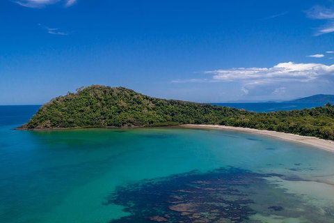 Daintree And Cape Tribulation Tour From Cairns - Kawana Tourism 4