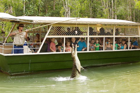 Hartley's Crocodile Adventure Half-Day Tour - Kawana Tourism 0