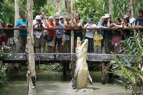 Hartley's Crocodile Adventure Half-Day Tour - Kawana Tourism 1