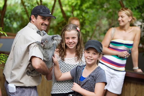 Hartley's Crocodile Adventure Half-Day Tour - Kawana Tourism 3