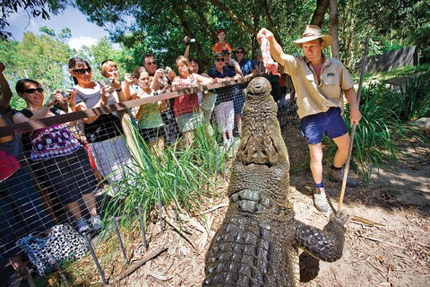 Hartley's Crocodile Adventure Half-Day Tour - Kawana Tourism 4