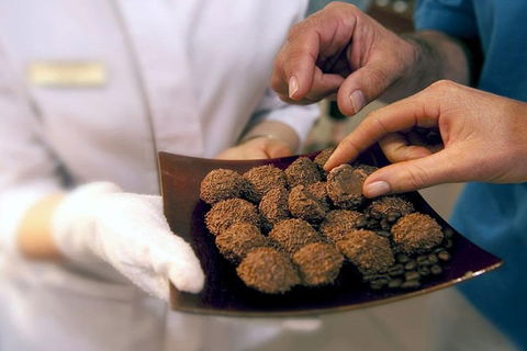 Explore Adelaide City Tour: Haigh's Tasting Chocolate & Adelaide Oval Tour - Kawana Tourism 2