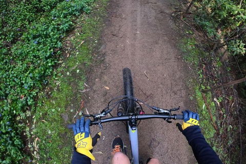 Explore Downhill Mountain In 3-Hour Bike Tour From Hobart - Kawana Tourism 2