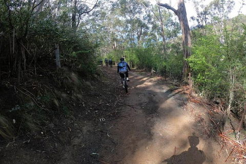 Explore Downhill Mountain In 3-Hour Bike Tour From Hobart - Kawana Tourism 3