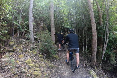 Explore Downhill Mountain In 3-Hour Bike Tour From Hobart - Kawana Tourism 4