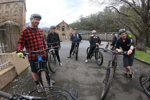 Explore Downhill Mountain In 3-Hour Bike Tour From Hobart - Kawana Tourism 5